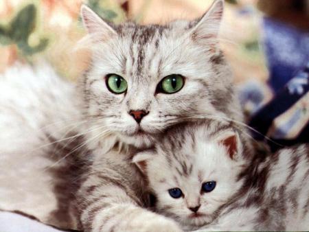 chat               hhhhhhhhhhhhhoooooooooooooda